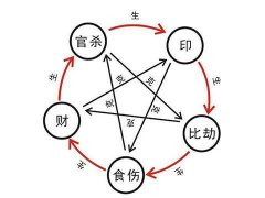 9種高學(xué)歷又富貴的四柱